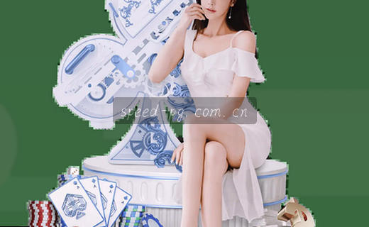 数据档案，存储时光的秘密